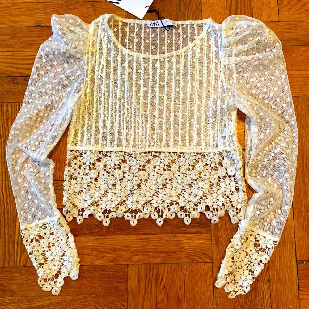 ZARA Puff Sleeve Lace Crop Top